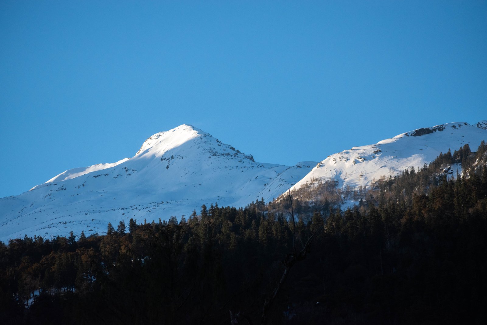 Chopta Tungnath Trek